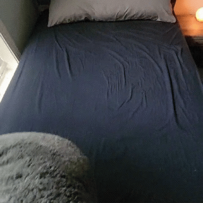 The Love Blanket™